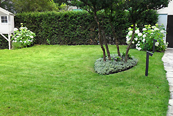 Ton-in-Ton-Bepflanzung in Weiß in einem Privatgarten