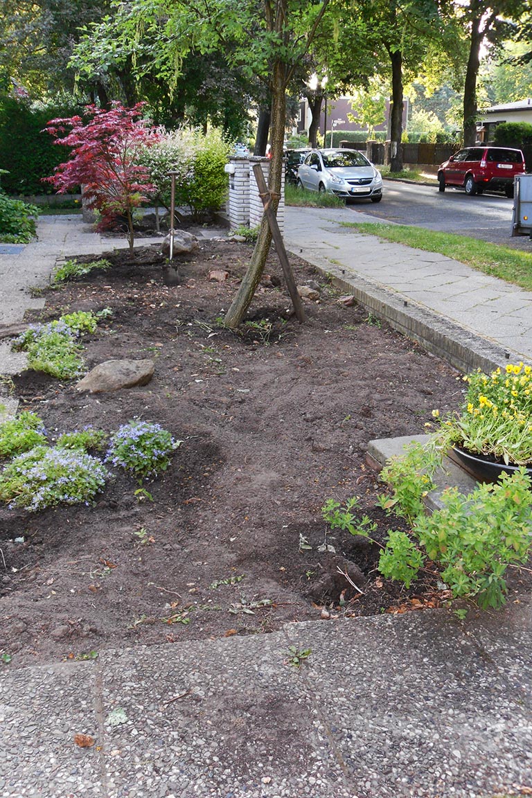Umgestaltung des Vorgarten eines Einfamilienhauses: Zaundemontage, Auspflanzung der Beete