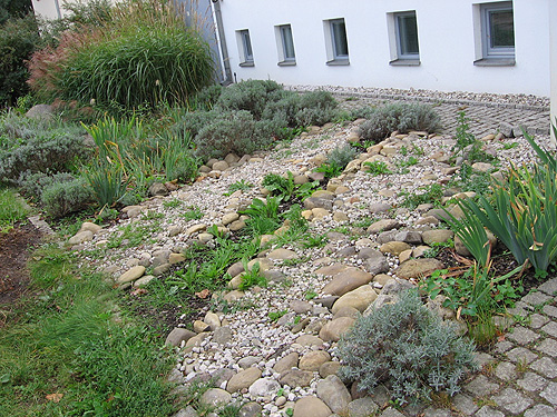Vorgartengestaltung mit Steinen und Gräsern