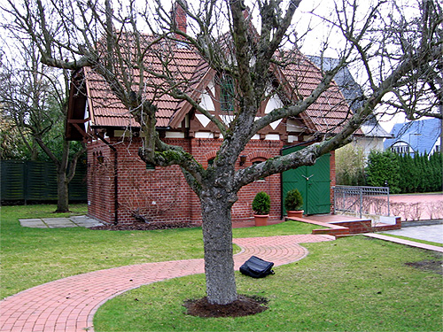 Der geschwungene Weg weicht einem Baum aus